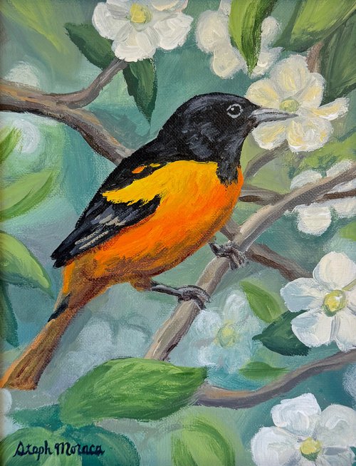 Oriole with White Flowers by Steph Moraca