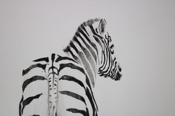 Zebra Got Back
