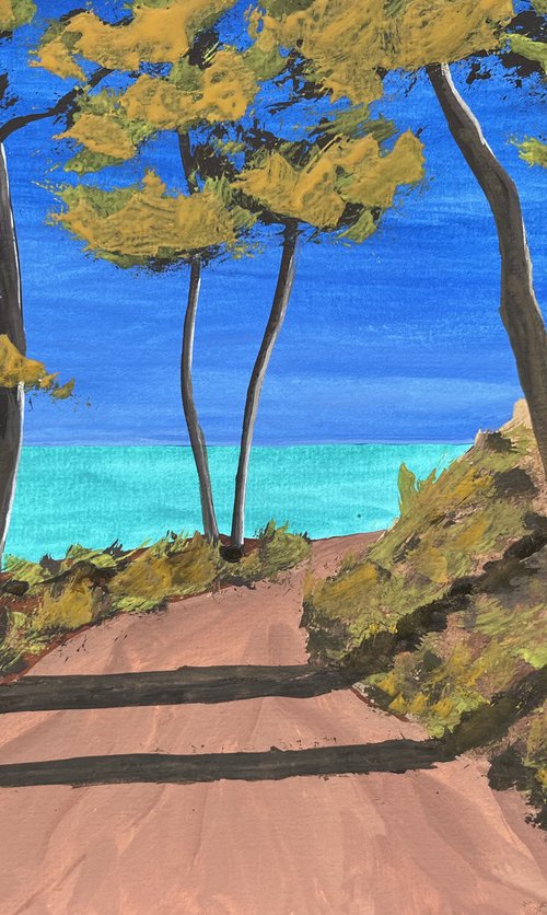 Coastal path by Cadiou Frederic