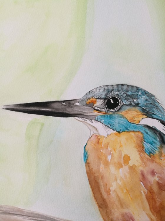 Watercolour Kingfisher Painting. 29.7cm x 42cm. Bird Art. Free Shipping