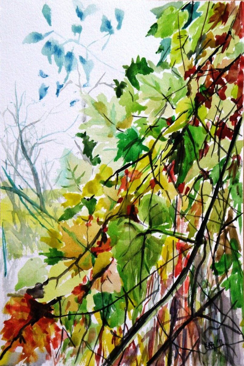 Autumn trees /24 x 16 cm/ by Kovcs Anna Brigitta