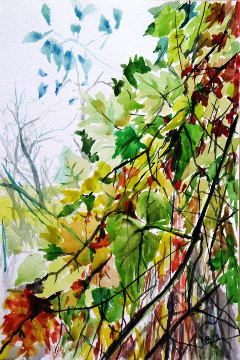 Autumn trees by Kovacs Anna Brigitta