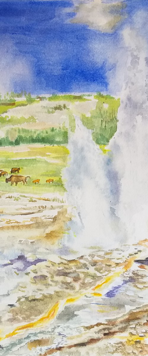 Yellowstone national park by Geeta Yerra