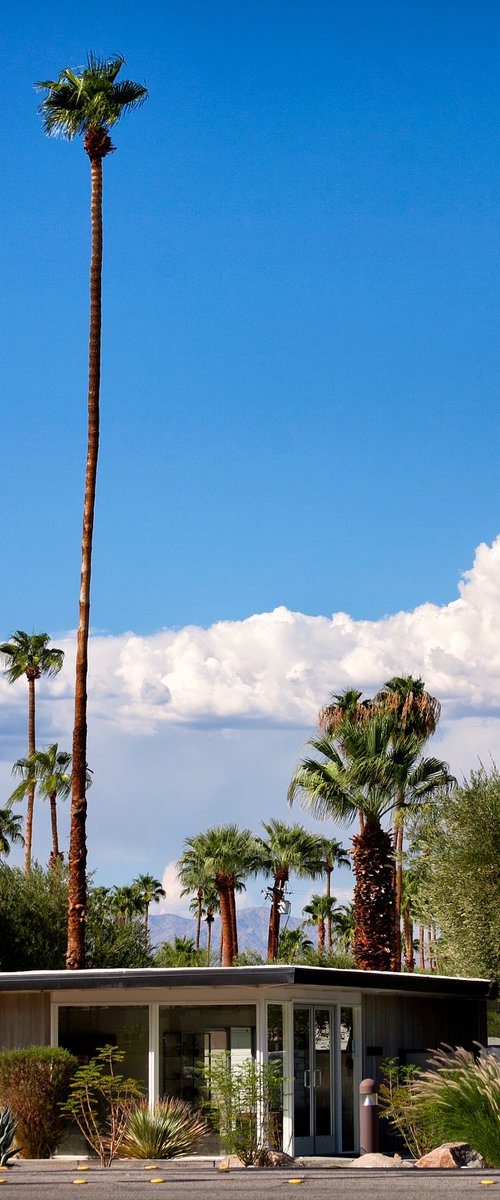 BLUE HORIZON Palm Springs CA by William Dey