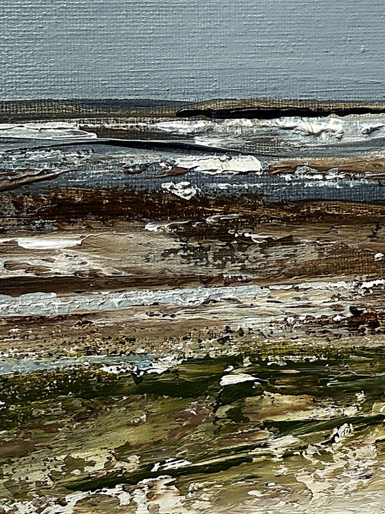 Coastal Fields in Grey Light
