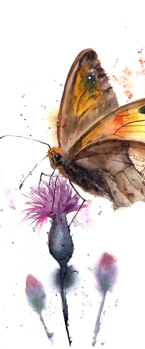 Butterfly on Thistle by Olga Tchefranov (Shefranov)