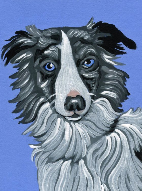 ACEO ATC Original Miniature Painting Blue Merle Border Collie Pet Dog Art-Carla Smale