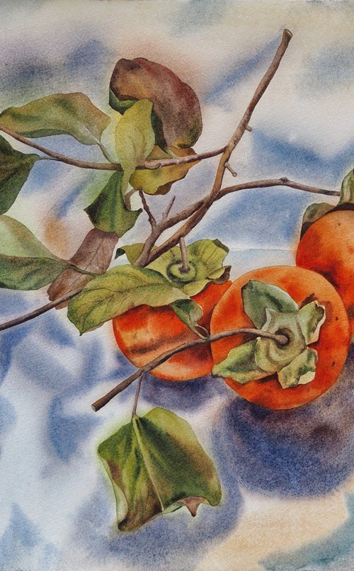 Persimmons season by Delnara El