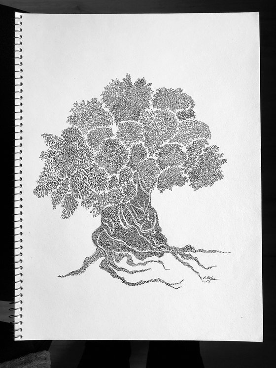 Olive Tree - ink on paper - dots