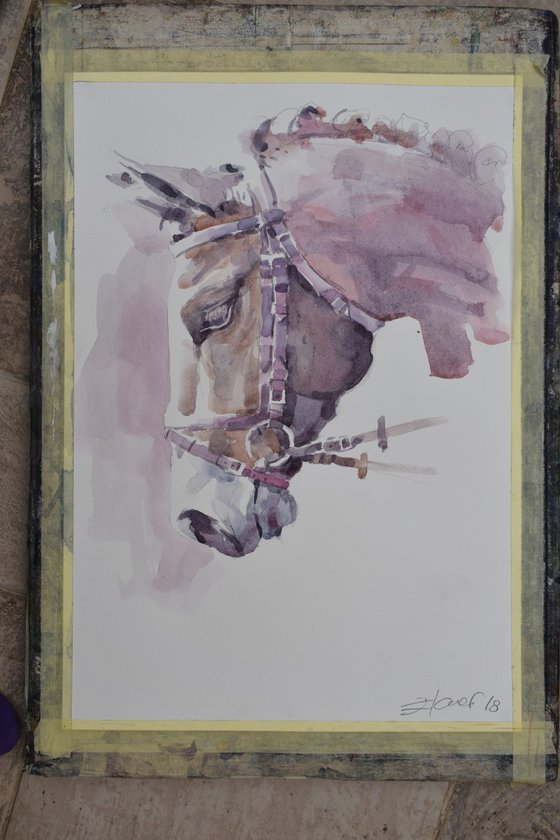Horse head II