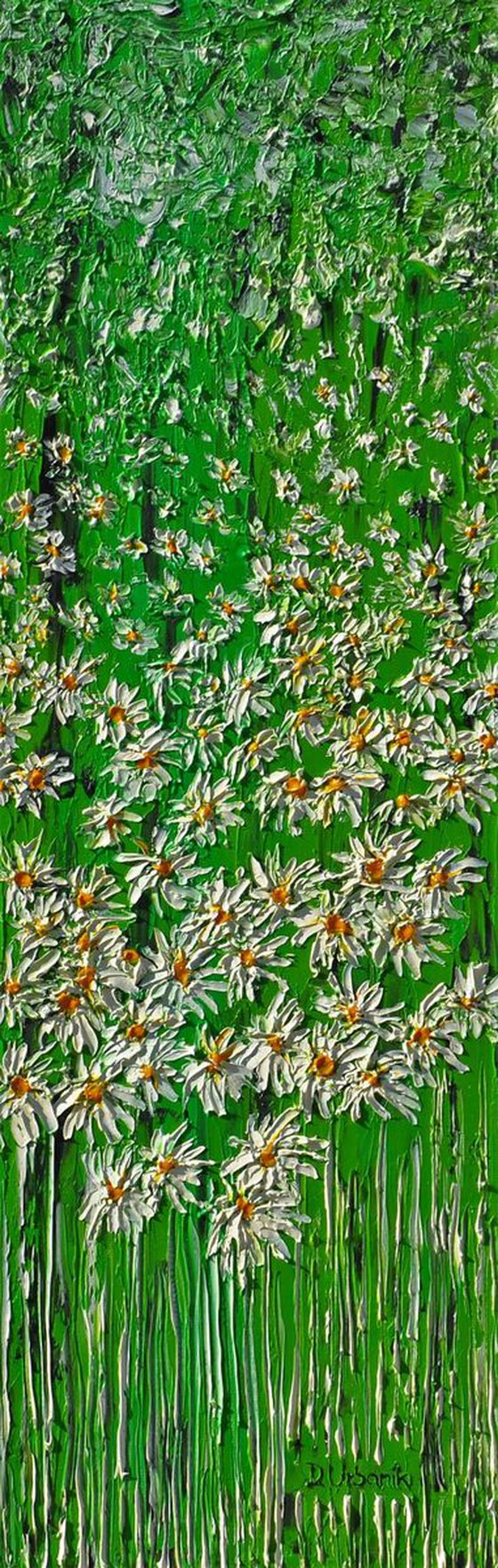 Daisies In The Grass