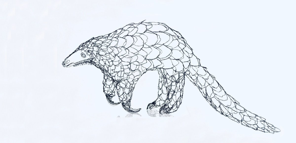 The Curious Pangolin by Jane Tilley