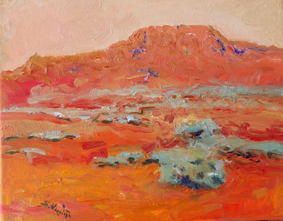 Southwestern Desert