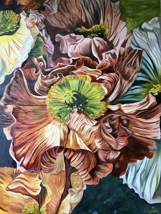 Sunkissed Poppies