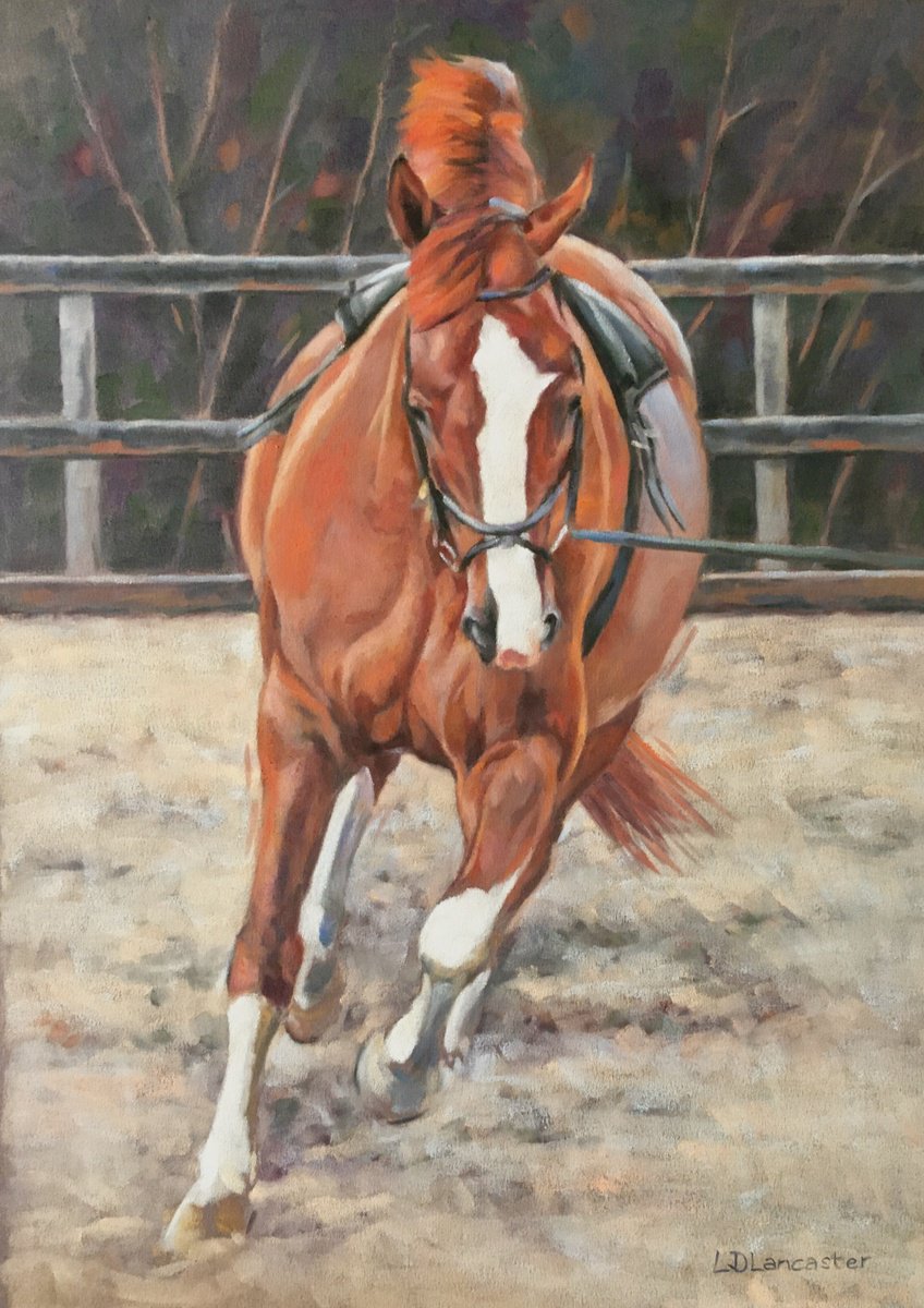 On The Lunge - Chestnut Holsteiner Horse by Lorna Lancaster ASEA