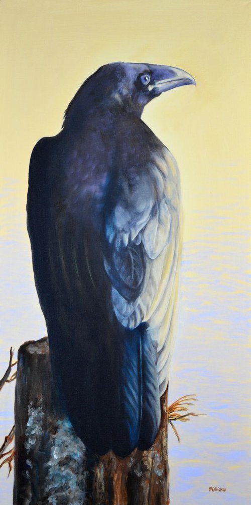 Raven by tom morgan