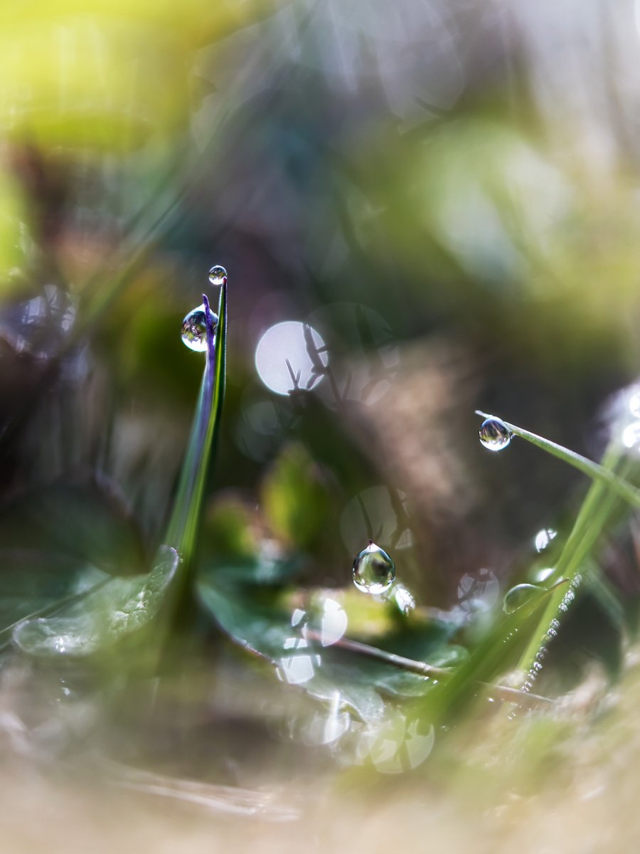 WONDERLAND UNDER OUR FEET by Inna Etuvgi