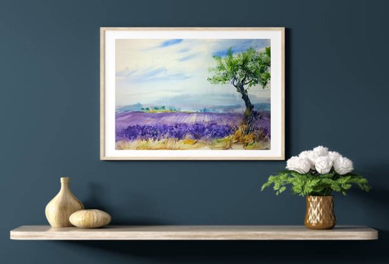 Landscape  in Provence. Lavender fields #1