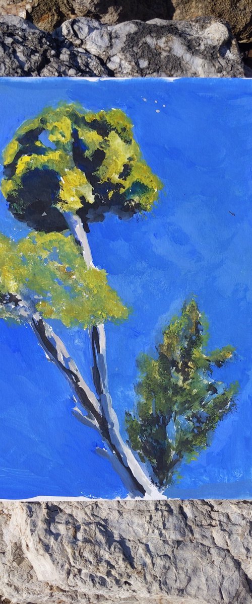 Pines of Corfu island - Greece - original watercolor painting - pine trees by Anna Brazhnikova
