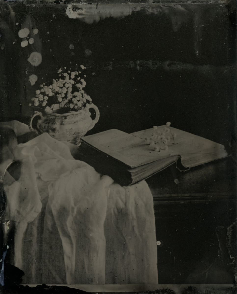 Photorealistic Botanical Photograph By Nicolas Laborie, 16 X 12", Book Of Gyspyphilia, Original Artwork