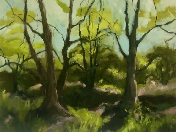 A Glimmer of Spring