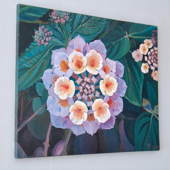 Little Flowers for Fedia