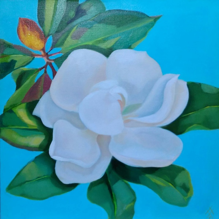 White Magnolia Oil Painting By Alla Khimich Artfinder