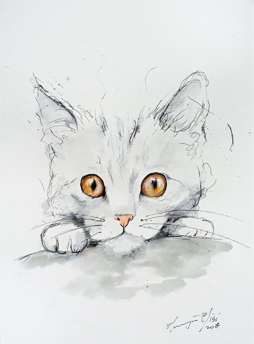 Urban And Pop Ink Drawing , Curiosity By Maurizio Puglisi, 9 X 13, Artwork For Sale On Artfinder