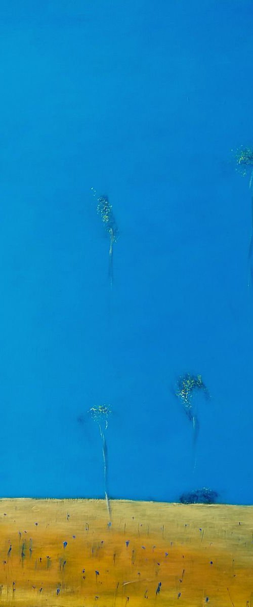 Cornflowers Field by Kestutis Jauniskis