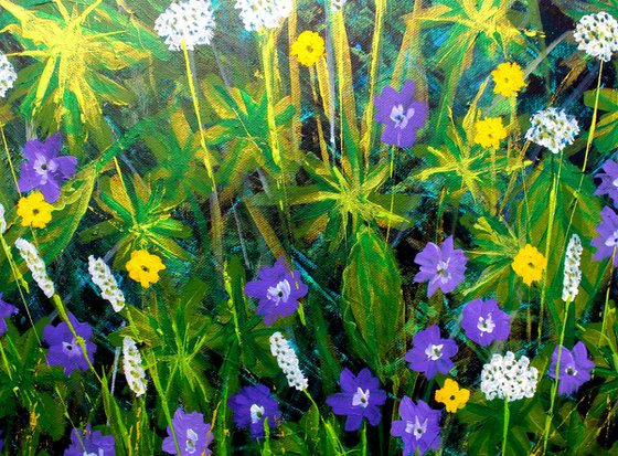 Alpine Meadow III