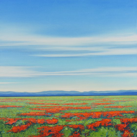 Spring Poppy Field - Colorful Flower Field Landscape