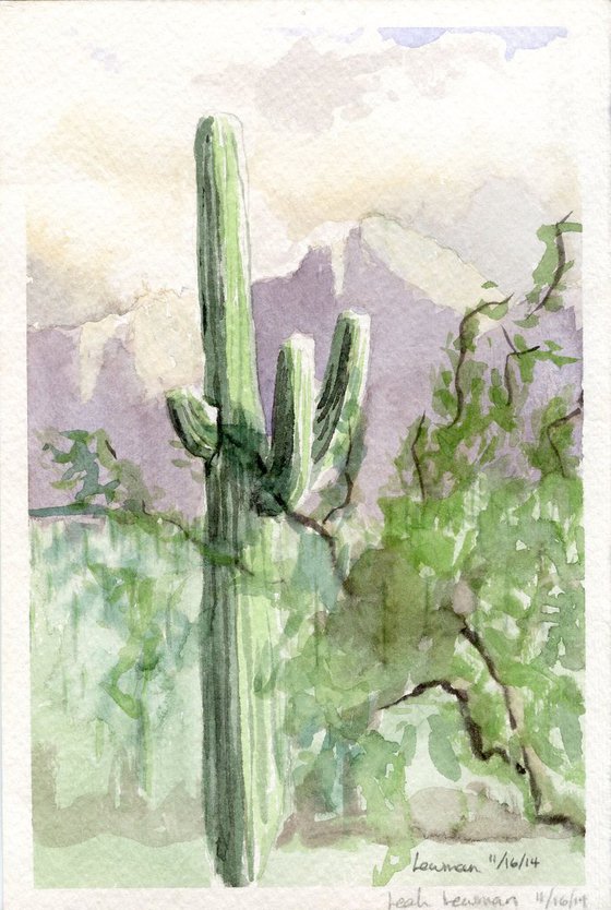 Saguaro at Sunrise - 11/16/14