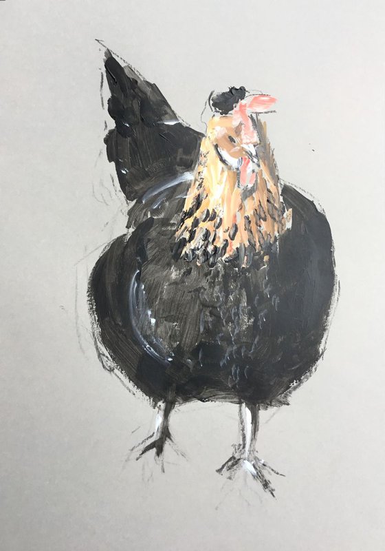 Chicken Study 7