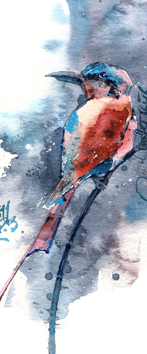 "Instant" - watercolor sketch of a bright red and blue bird on a branch on a gray background by Ksenia Selianko