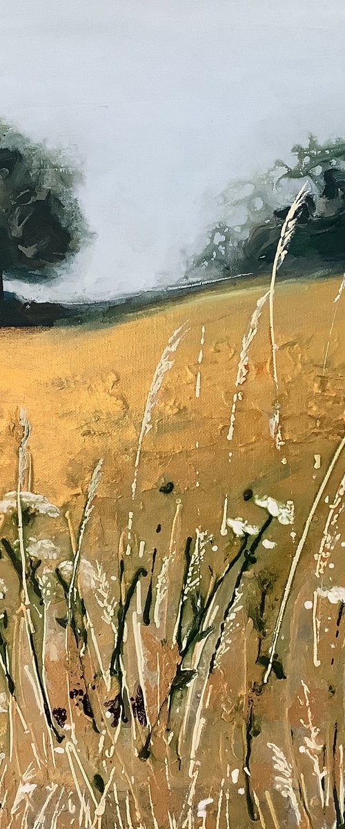 You Shine Like Gold by Elizabeth Westcott