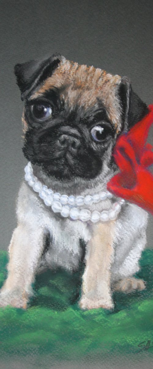 Pug puppy / ORIGINAL SOFT PASTEL PAINTING by Salana Art / Svetlana Samovarova