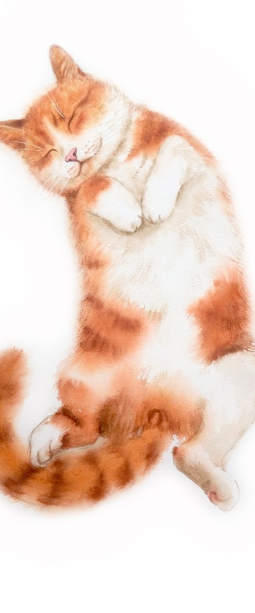 Ginger cat sleeping  - Red Cat by Olga Beliaeva Watercolour
