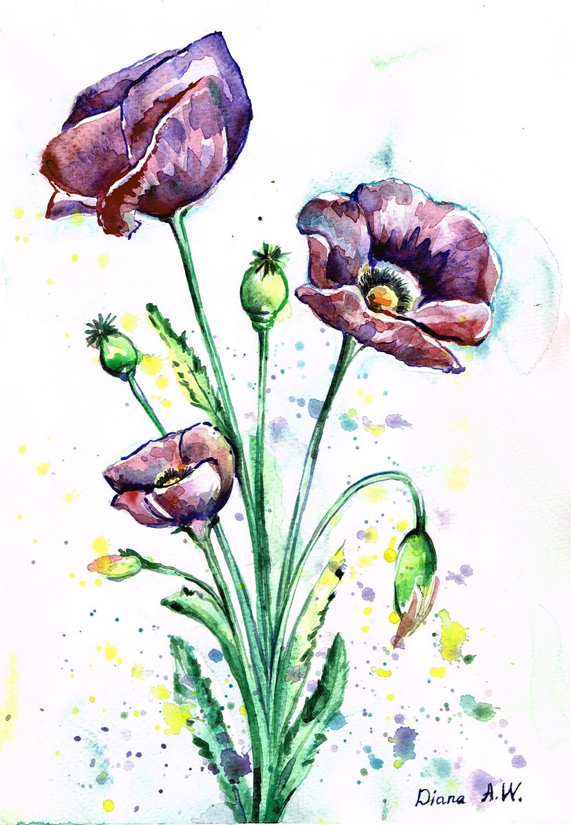 Purple poppies by Diana Aleksanian