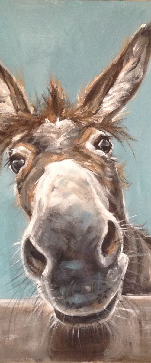 Why The Long Face? by Louise Brown