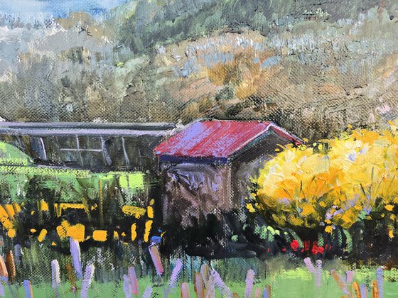 Where Mimosas Bloom