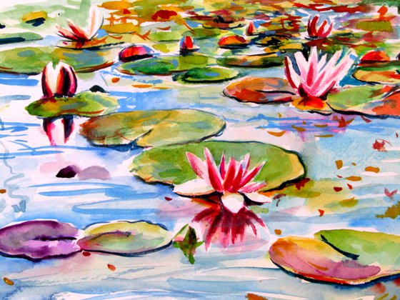 Water lily