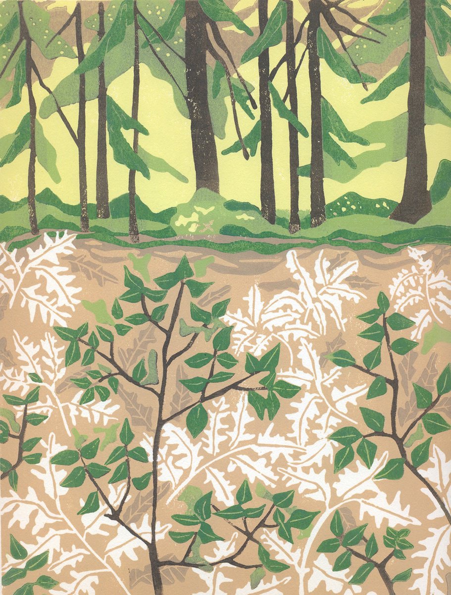 Landscape Linocut By Kate Goetz, 11 X 13", Where The White Ferns Grow, Original Artwork