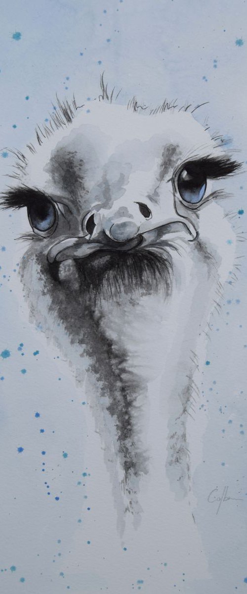 'Ozzy' by Nicola Colbran