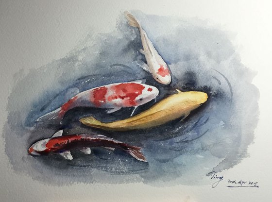 Koi fish 2
