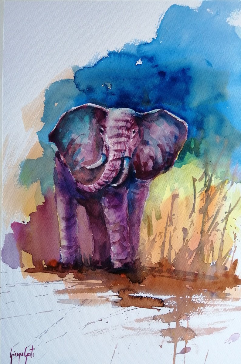 Impressionistic Animal Watercolour By Giorgio Gosti, 14 X 21, Elephant 20, Original Artwork