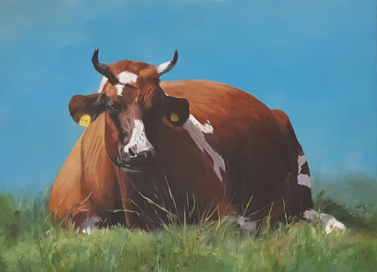 Brown cow lying in the grass by Britta Kroger