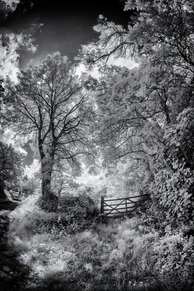 Landscape Photograph By Paul Nash, 16 X 24", The Gate And Path, Original Artwork