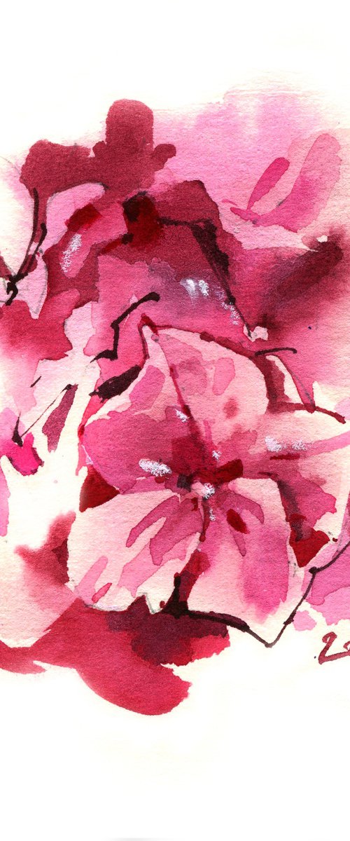 "Pink Butterflies" hydrangea by Ksenia Selianko