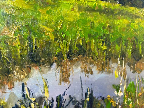 The Rice Fields