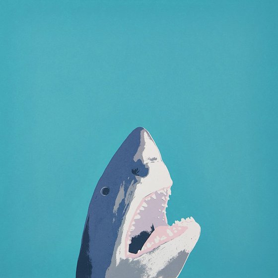 North Laine Shark